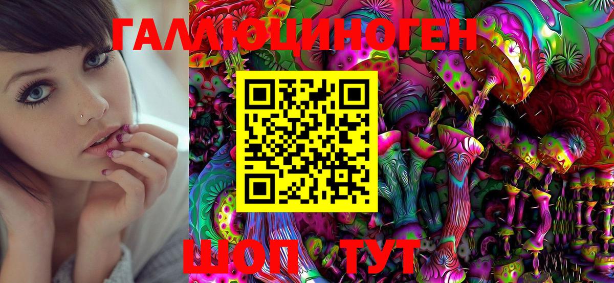 Избербаш  Псилоцибиновые грибы Psilocybe  Вход с VPN 