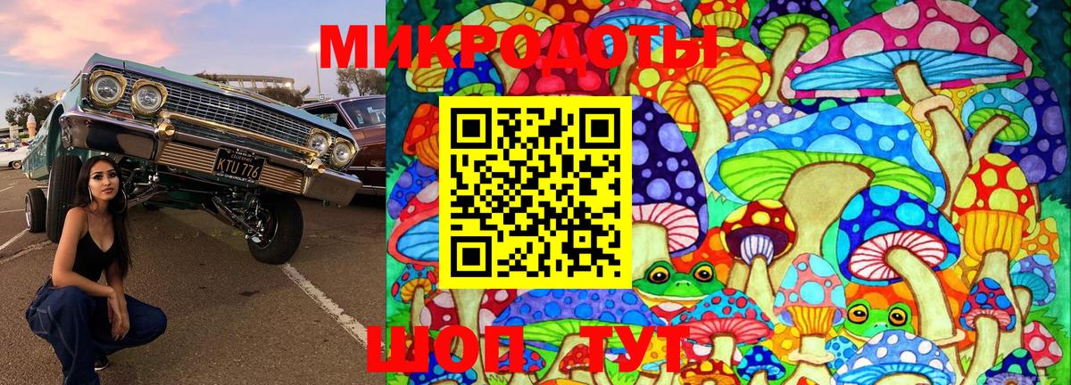 Галлюциногенные грибы мицелий Избербаш